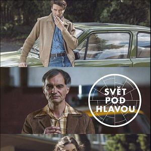 Photo Shadow of the Ferns