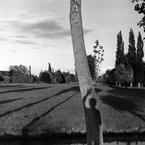 Photo Robert Doisneau, Le Révolté du Merveilleux