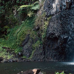 Photo Gauguin - Voyage de Tahiti