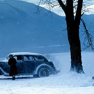 Photo La Neige tombait sur les cèdres