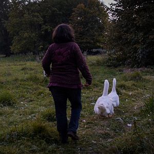 Photo La Fin de la viande