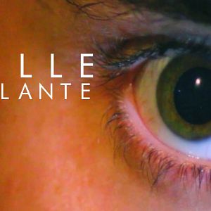 Photo Pupille Pétillante