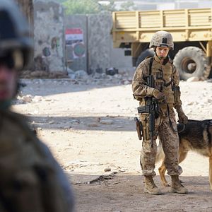 Photo Megan Leavey