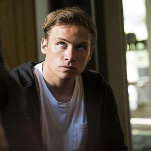 Photo Animal Kingdom