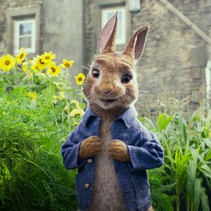 Photo Pierre Lapin