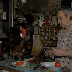 Photo La Fable du coq