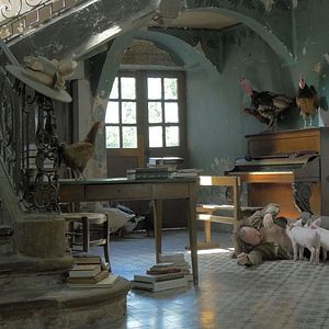 Photo La Fable du coq