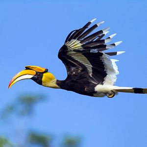 Photo Thailand: Earth's Tropical Paradise