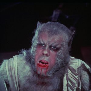 Photo La Nuit du loup-garou