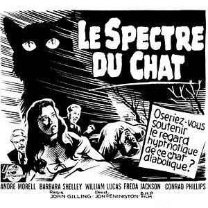 Photo Le spectre du chat