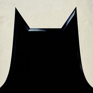 Photo Batman, le défi