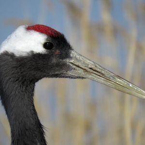 Photo Un nouveau jour sur Terre