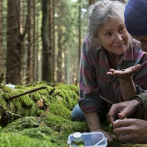 Photo Agnieszka Mandat-Grabka