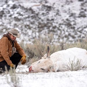 Photo Wind River