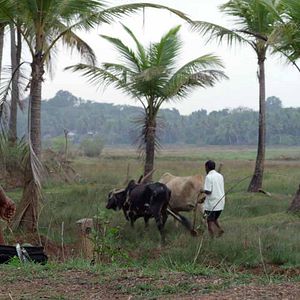 Photo L'Enfant de Goa