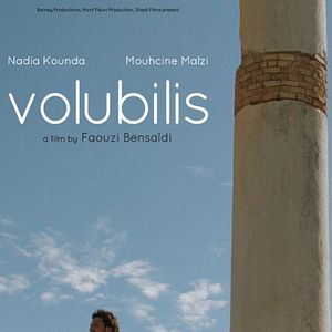 Photo Volubilis