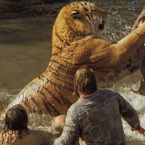 Photo Roar