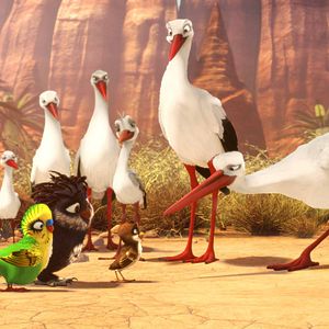 Photo Le Voyage de Ricky
