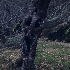 Photo Trinta Lumes