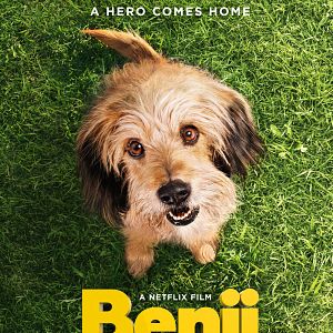Photo Benji