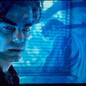 Photo Peter Gallagher