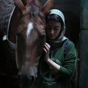 Photo Dressage