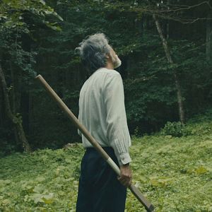 Photo The Fisherman and the Forest