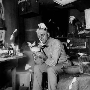 Photo Le Prisonnier d'Alcatraz