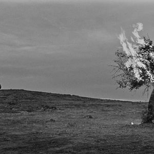 Photo Jean-Marc Barr