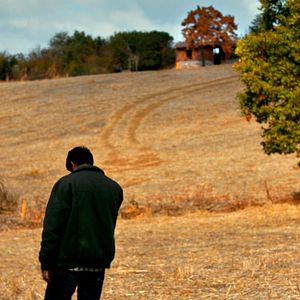 Photo Le Poirier sauvage