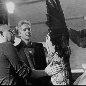 Photo McQueen