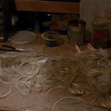 Photo Esprits criminels