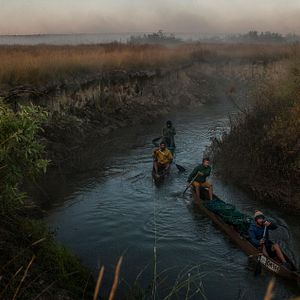 Photo Au cœur de l'Okavango
