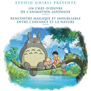 Photo Mon voisin Totoro