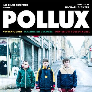 Photo Pollux (court)