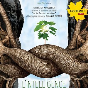 Photo L'Intelligence des Arbres