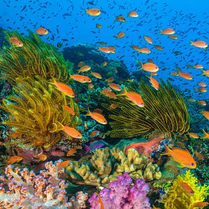 Photo Océans : Notre planète bleue
