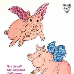 Photo Si les porcs avaient des ailes