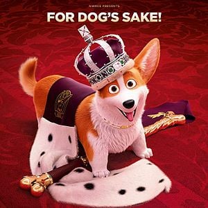 Photo Royal Corgi