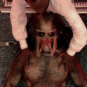 Photo The Predator