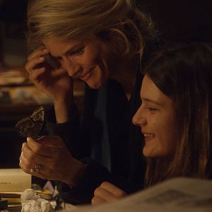Photo La Dernière Folie de Claire Darling