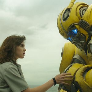 Photo Bumblebee