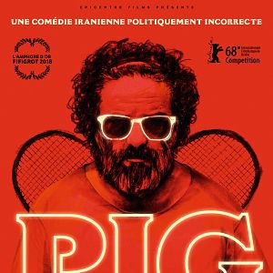 Photo Pig