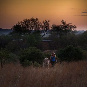 Photo Mia et le Lion Blanc