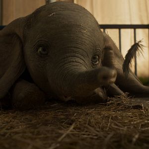 Photo Dumbo