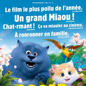 Photo Oscar et le monde des chats