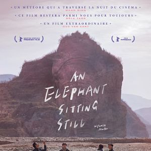 Photo An Elephant Sitting Still
