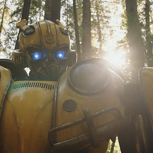 Photo Bumblebee
