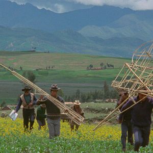 Photo The Last Movie