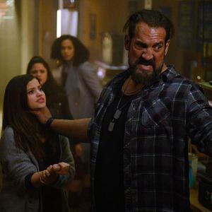 Photo Matthew Willig